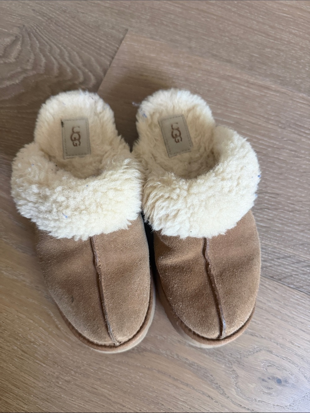 UGG Tan Suede Shearling Clog Slippers with Cream Lining Disquette 8
